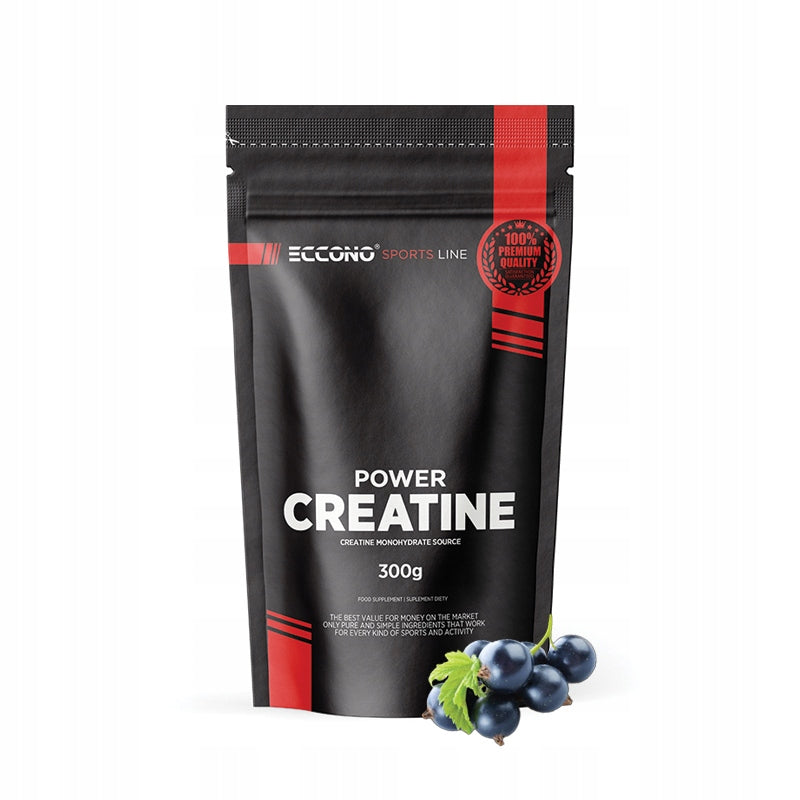 ECCONO POWER CREATINE 300 G CREATINE MONOHYDRAT MICRO 200 MESH currant