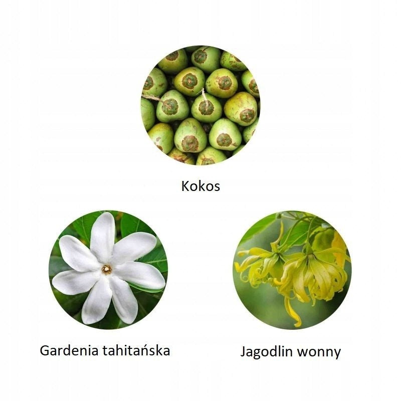 ECO EAU DE PARFUM TEHANI-POLYNESIE, Z-W, FIILIT Brand FiiLiT
