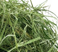 ECO HAY 1KG HUNGARIAN, FRESH HAY FOR DOMESTIC PIGS, SUPER QUALITY