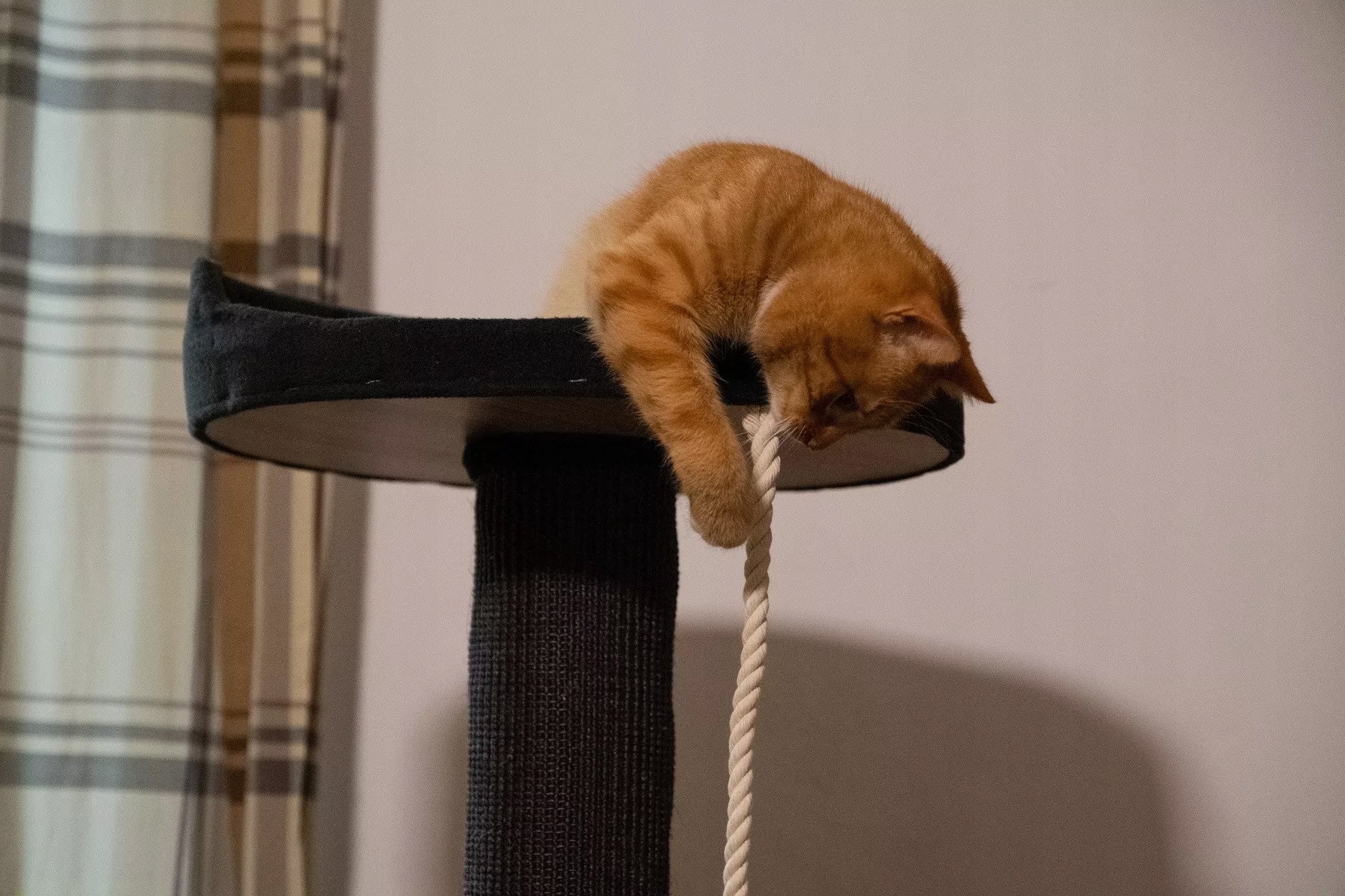 ECOMFY SCRATCHING POST TOWER 120CM BEIGE Number of levels 2
