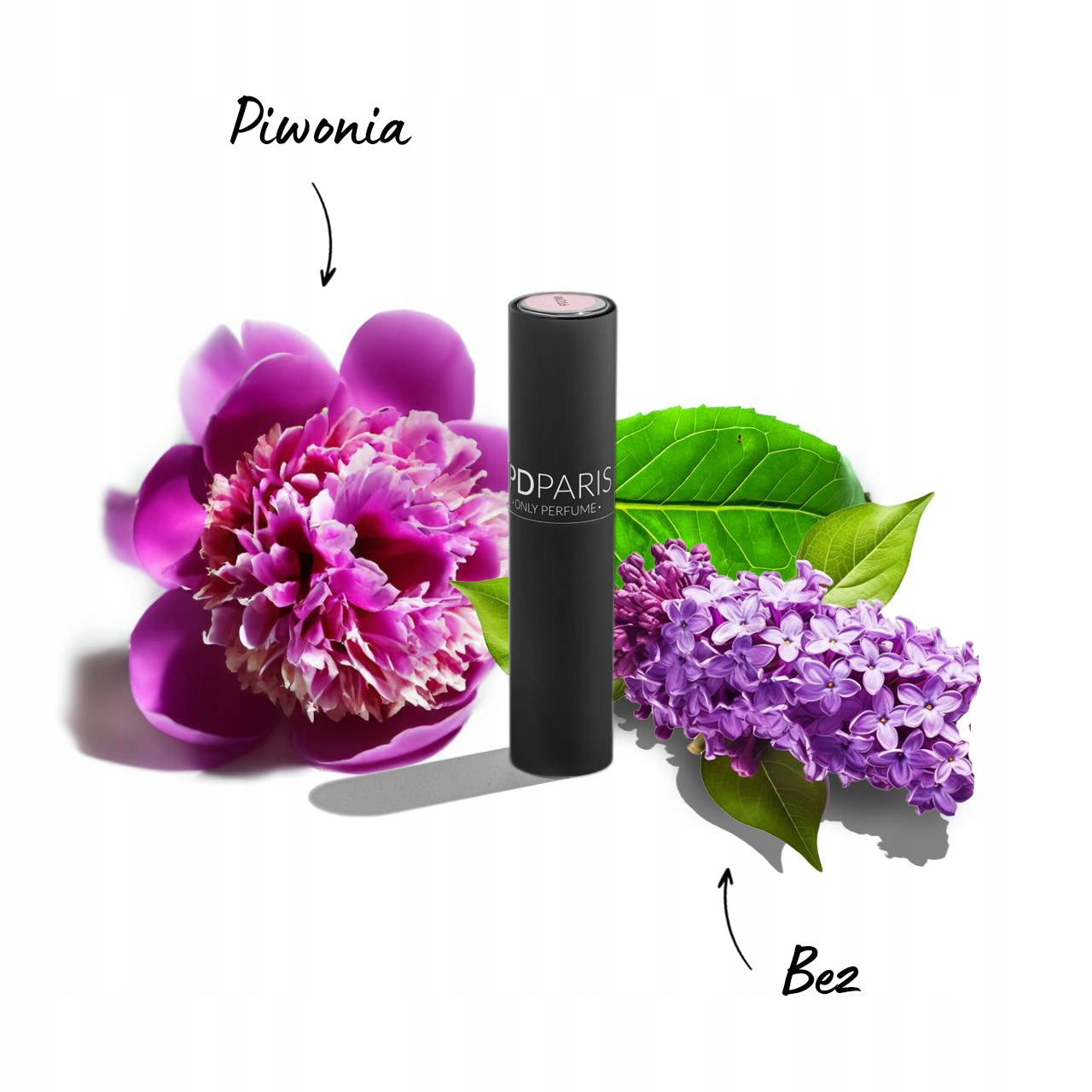 EDIT WOMEN'S PERFUME Eau de Parfum EDP, fragrance LILAC WOMEN'S FLORAL 10 ml EAN (GTIN) 0615402770798