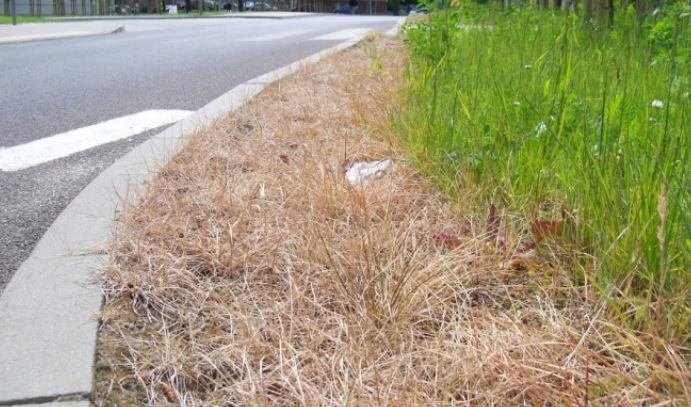 EFFECT 24h 0,5L TOTALLY FIGHTS ALL WEEDS + MOSS ANTIMECH EKO 500 Manufacturer Target