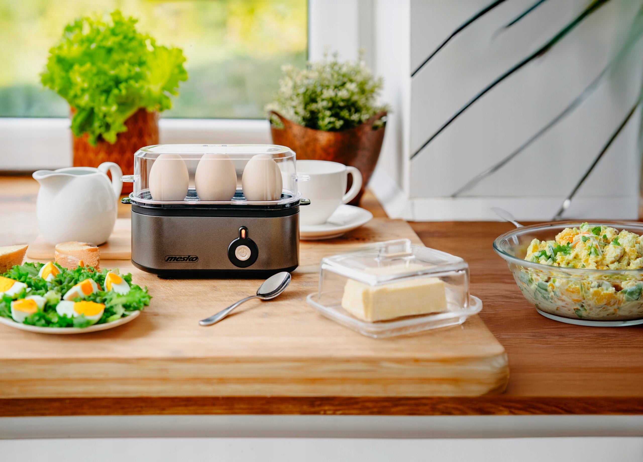 EGG COOKER AUTOMATIC EGG COOKER 3 PCS ELECTRIC MESKO Manufacturer code MS4485GM