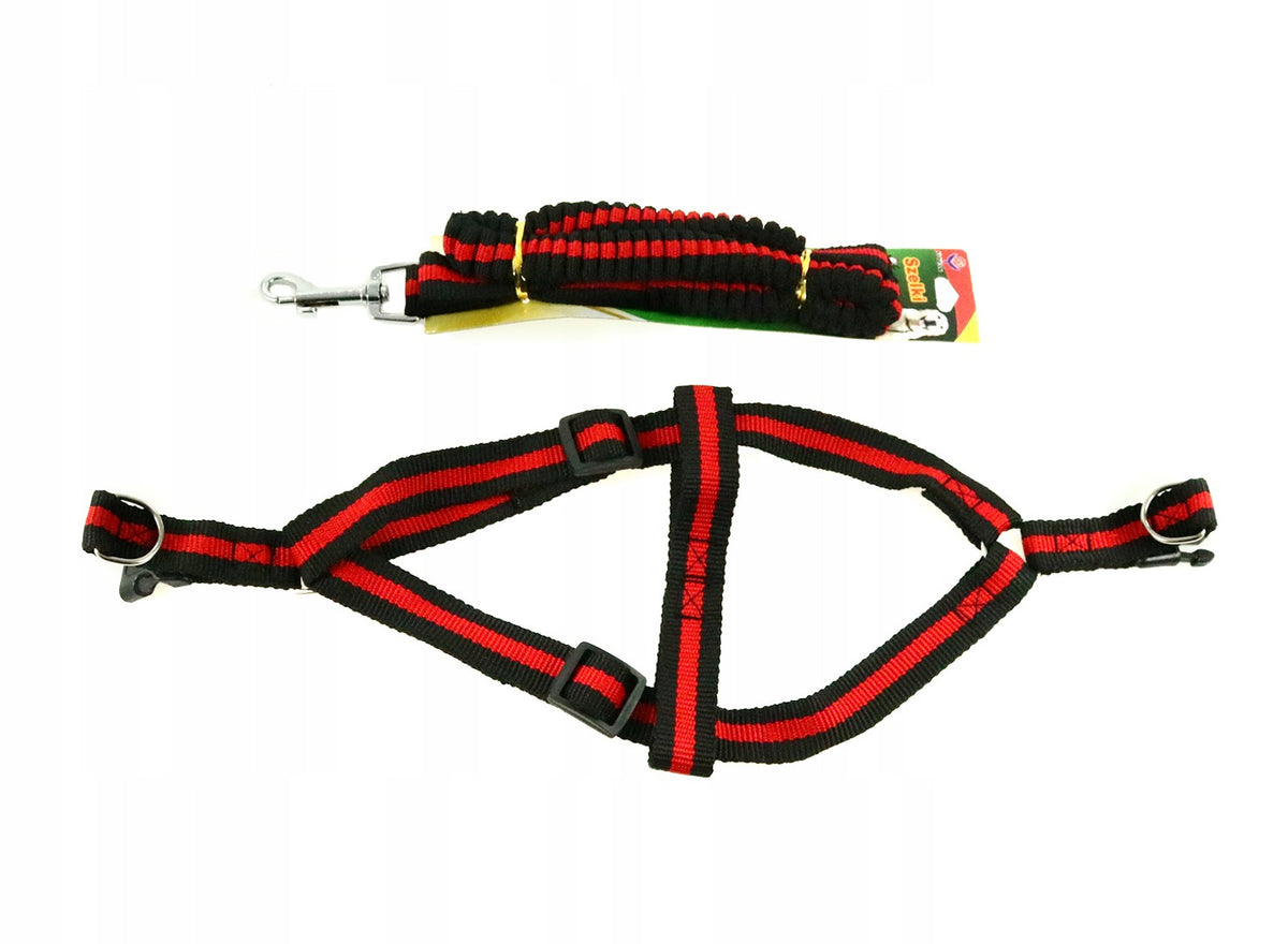 ELASTIC LEASH WITH SUSPENDERS WIDTH 2 CM - 302944