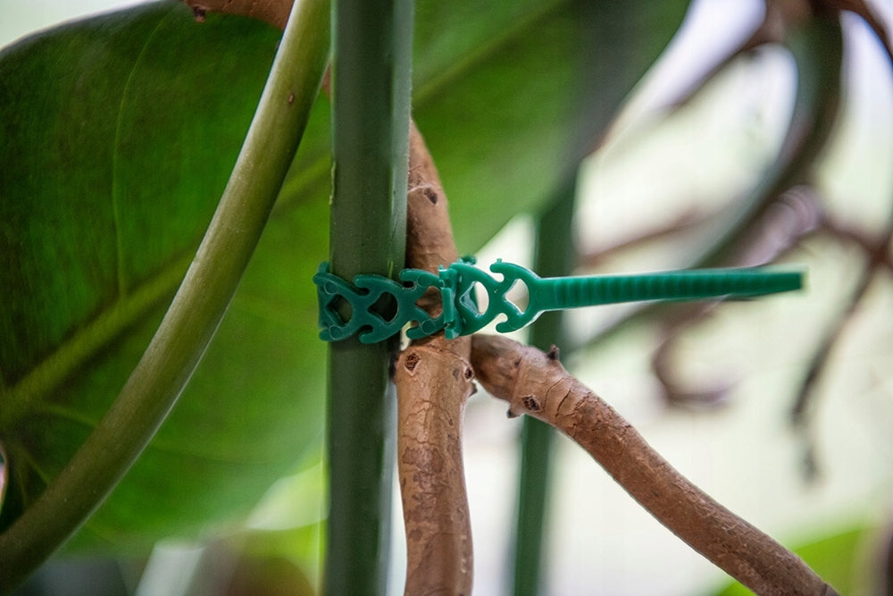 ELASTIC clamps for fixing supports CLIPS 10x300mm 20 PCS Color green