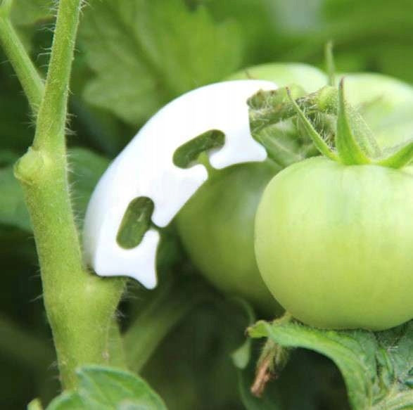 ELBOW CLIPS FOR PLANT TRAINING 50 PCS. Brand Herbgarden