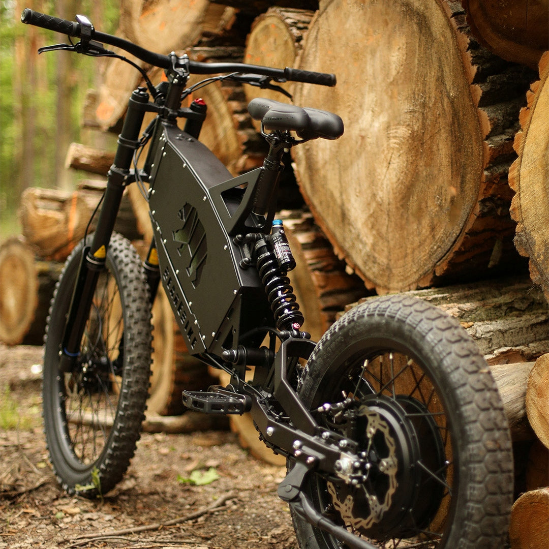 ELECTRIC BIKE MTB BearEbike Light 250W 1900Wh PAS 90NM Polish PRODUCT Brand BearEbike