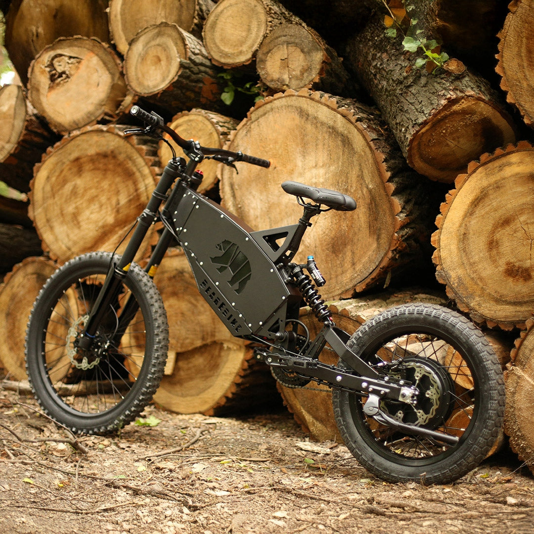 ELECTRIC BIKE MTB BearEbike Light 250W 1900Wh PAS 90NM Polish PRODUCT Manufacturer code Pojazd Bearebike Light wer 14
