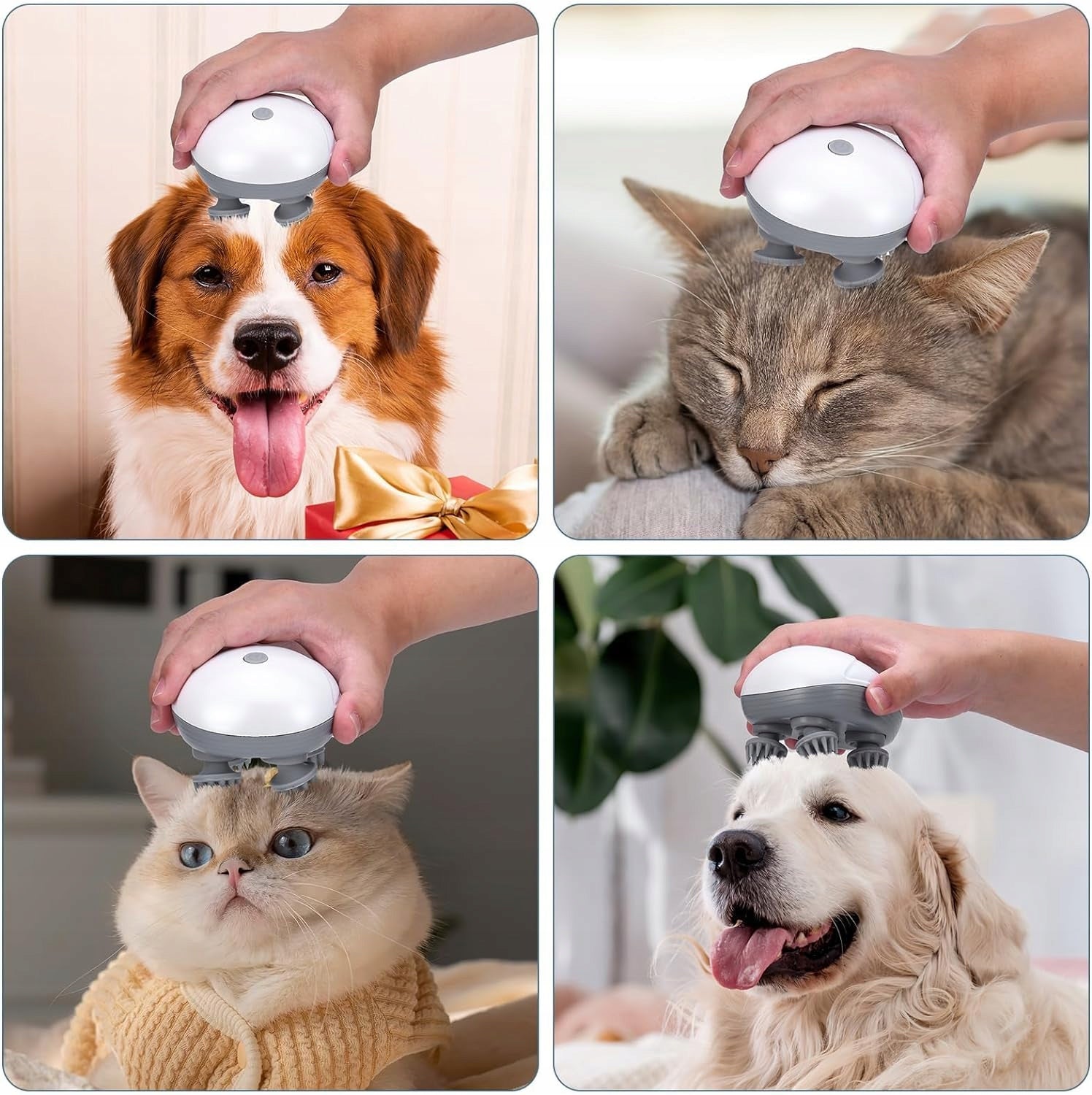 ELECTRIC DOG CAT MASSAGER FOR PET TOY SIMPLE OPERATION Medical device no