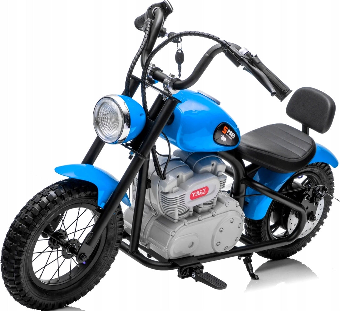ELECTRIC MOTOR TWO-WHEELED PUMPED WHEELS 36V POWER 350W
