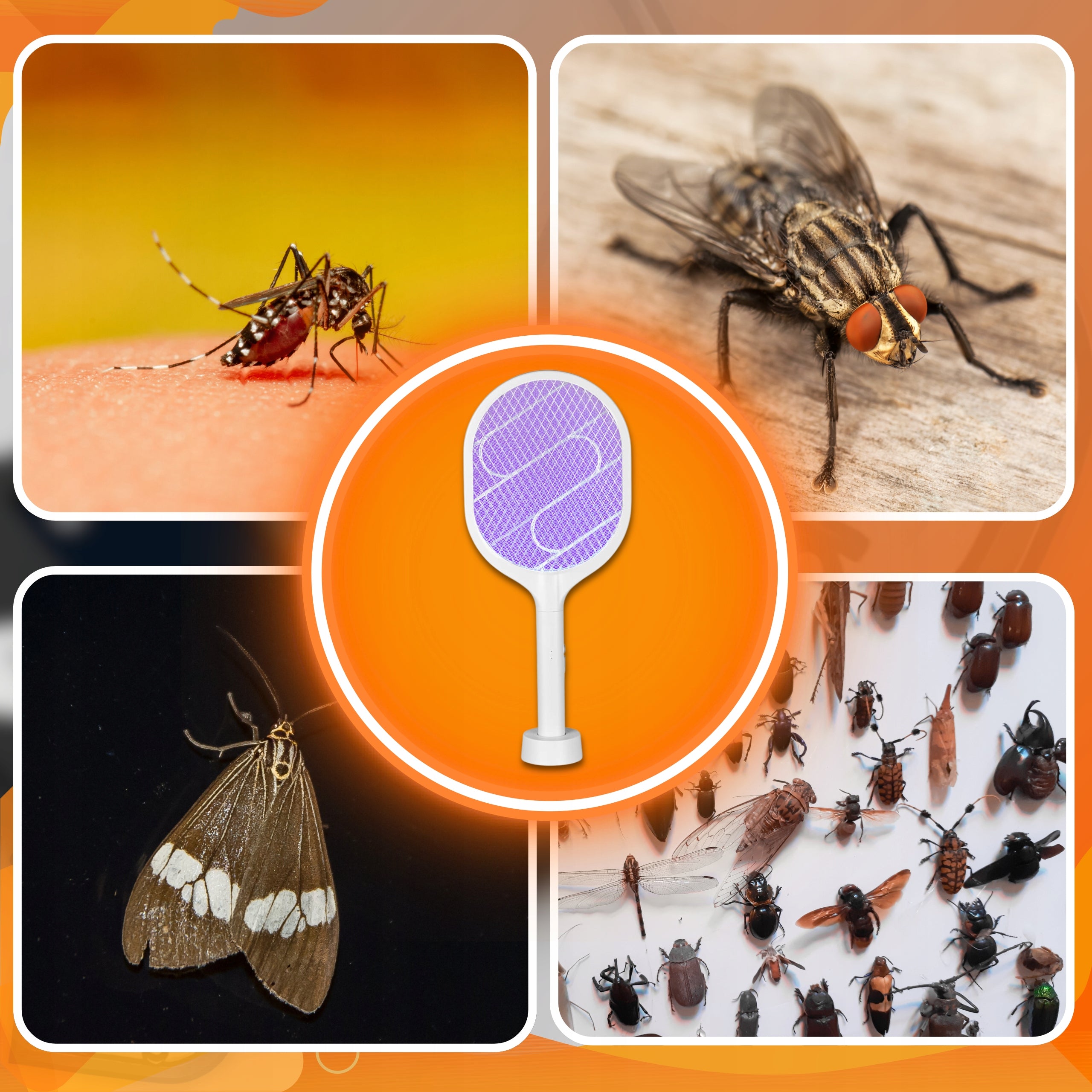 ELECTRIC PAW FLY STAVE INSECT PACK MOSQUITOES GLARING CURRENT 2in1 Manufacturer code ŁAPKA ELEKTRYCZNA PACKA NA OWADY MUCHY KOMARY
