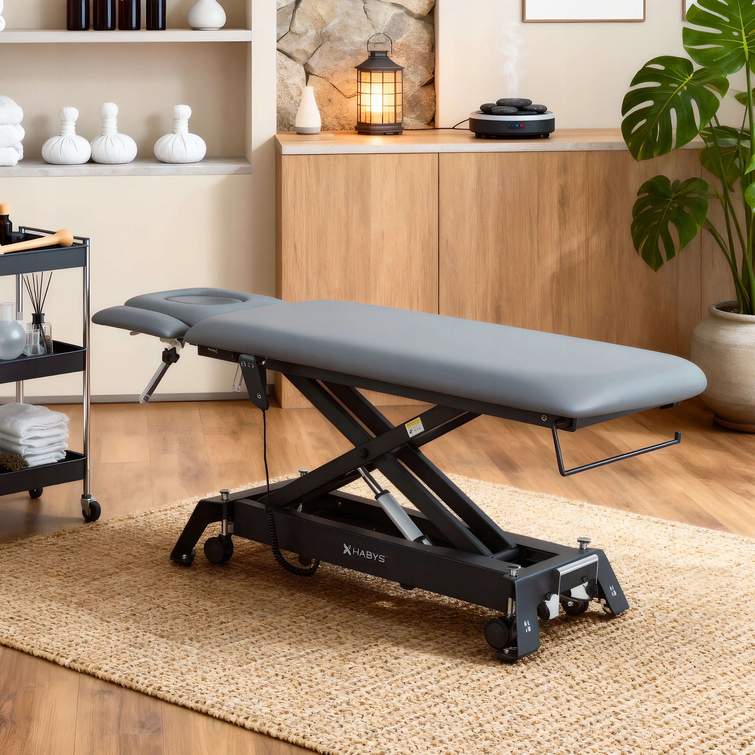 ELECTRIC REHABILITATION TABLE STATIONARY EVERO CROSS X4 PILOT HABYS EAN (GTIN) 5906667490565