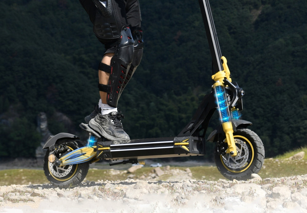 ELECTRIC SCOOTER TWOFISH V2MAX 1640W 48V20AH for adults 70km range Weight 29 kg