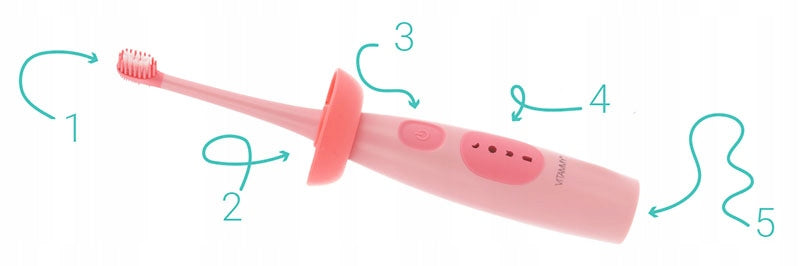 ELECTRIC SONIC TOOTHBRUSH FOR CHILDREN 6+ VITAMMY DINO ON USB Brand VITAMMY