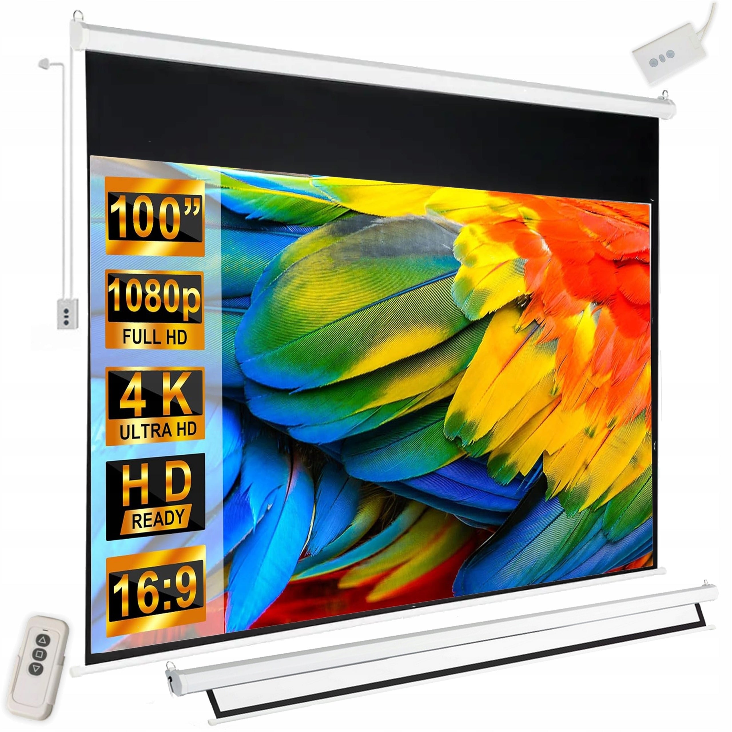 ELECTRIC WALL PROJECTION SCREEN 221x155 cm 100" INCHES FULL HD 4K REMOTE CONTROL Model ŚCIENNY EKRAN PROJEKCYJNY DO RZUTNIKA