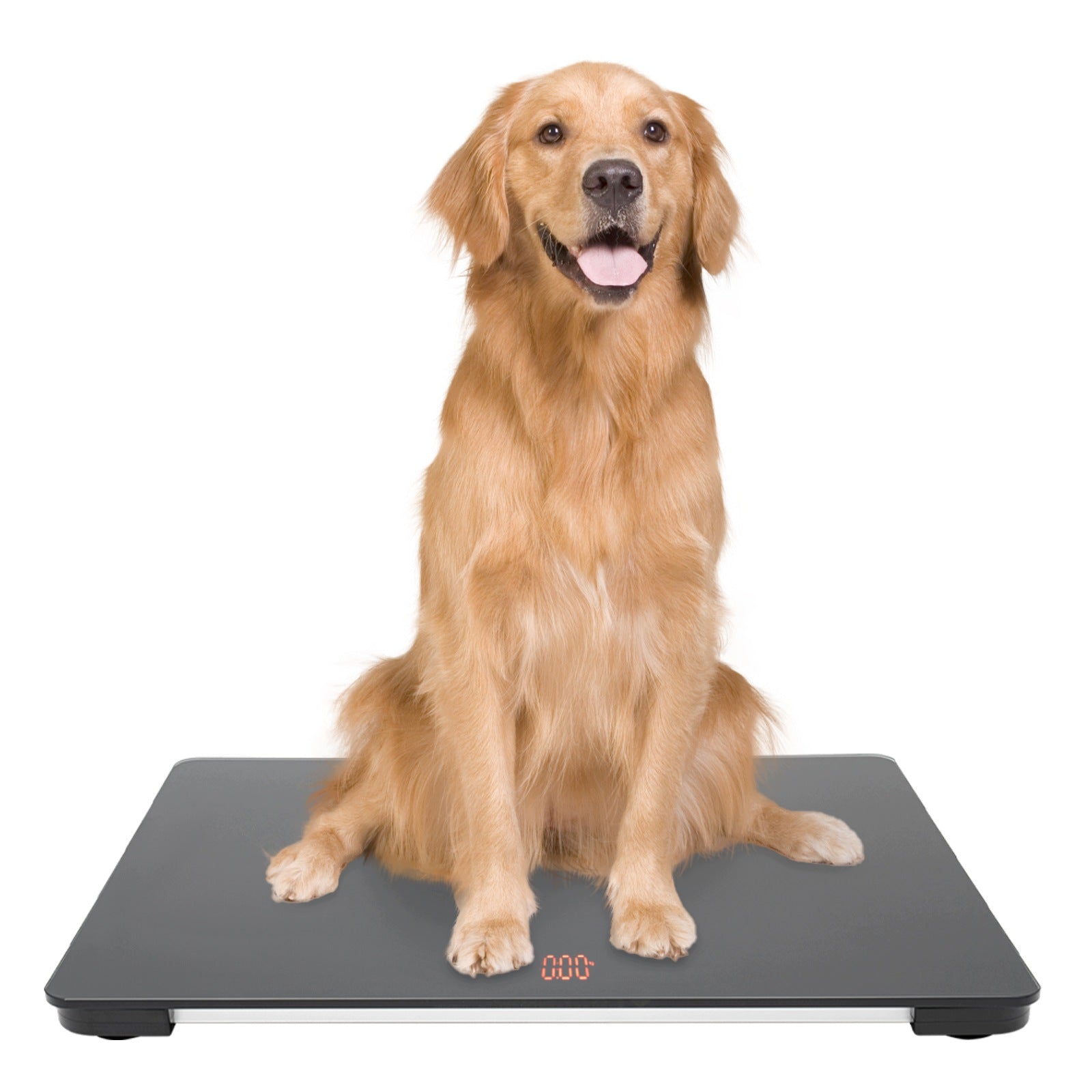 ELECTRONIC SCALE FOR ANIMALS UP TO 100 KG, TEMPERED GLASS, 65×45 CM