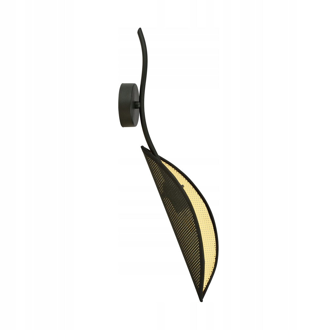 Emibig sieninis šviestuvas Lotus K1 Black/Gold
