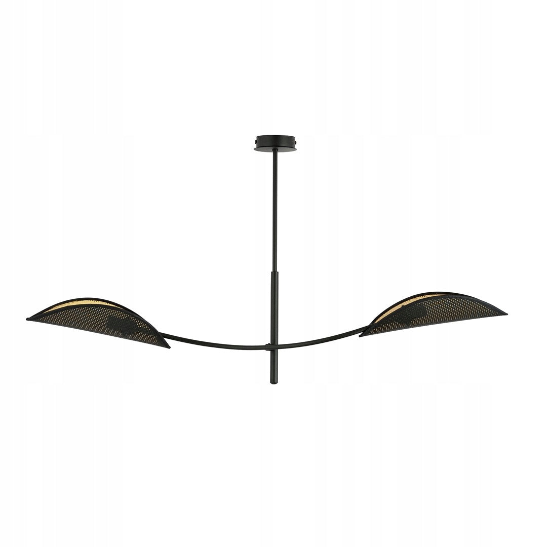 Emibig šviestuvas Lotus 2 Black/Gold
