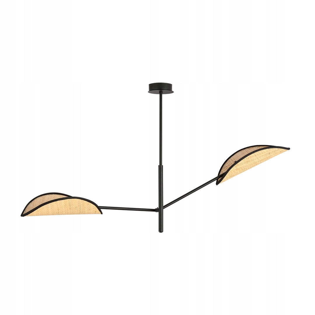 Emibig šviestuvas Vene 2 Black/Rattan