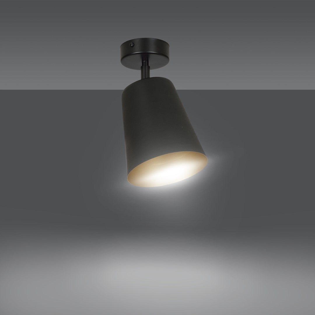 Emibig šviestuvas PRISM 1 BLACK