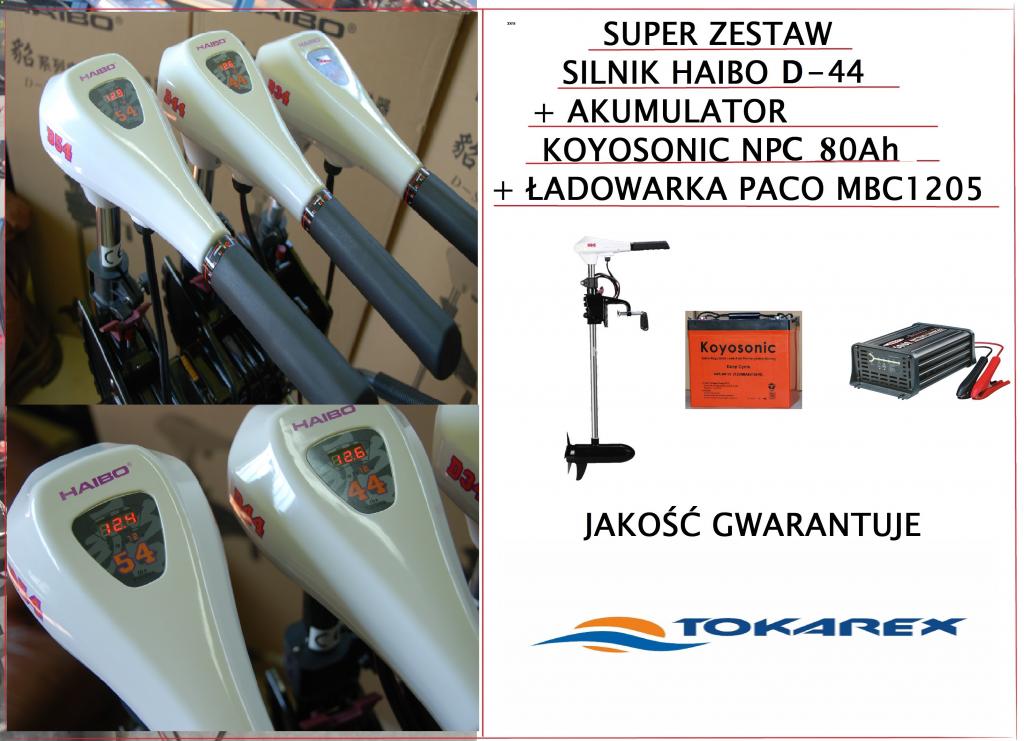 ENGINE HAIBO 44LBS + AKU 80Ah + CHARGER TOKAREX Manufacturer code D44+NP80+MBC1205