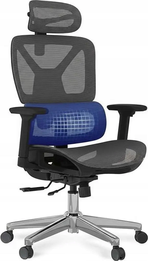 ERGONOMIC COMPUTER CHAIR FLEXISPOT CTDG-LITE-PRO-V2 MESH CHAIR