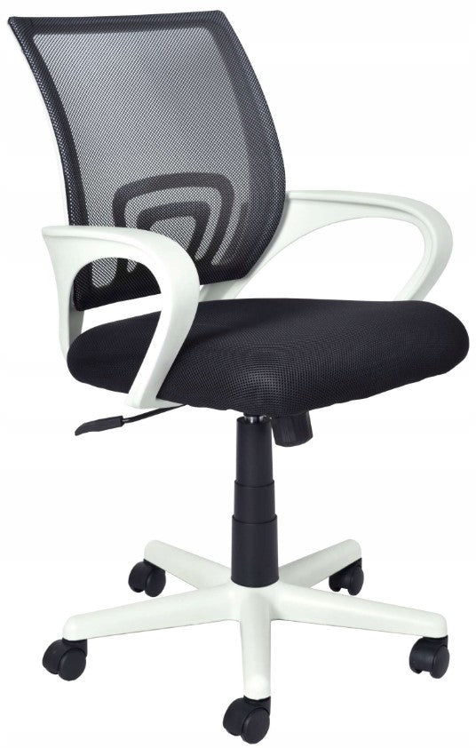 ERGONOMIC SWIVEL CHAIR OFFICE CHAIR ALEX BLACK AND WHITE BLACK Brand no brand