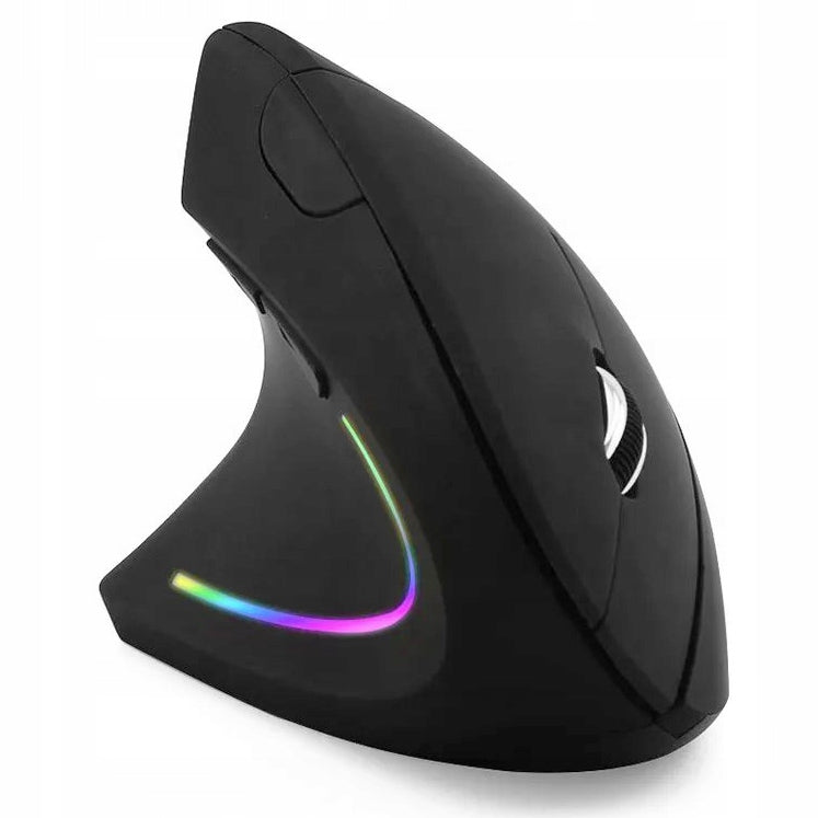 ERGONOMIC VERTICAL WIRELESS MOUSE FOR PC Manufacturer Raltek