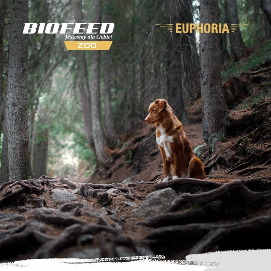 EUPHORIA FRESH MEAT Sample Dog Food TURKEY LAMB M/L 50g Product weight 0.05 kg