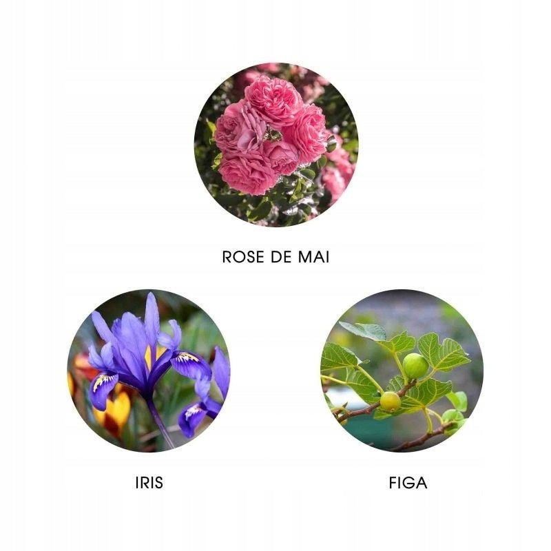 EXCLUSIVE ECO EAU DE PARFUM, CAMINA PROVENCE, ZERO WASTE, 11ml, FIILIT Brand FiiLiT