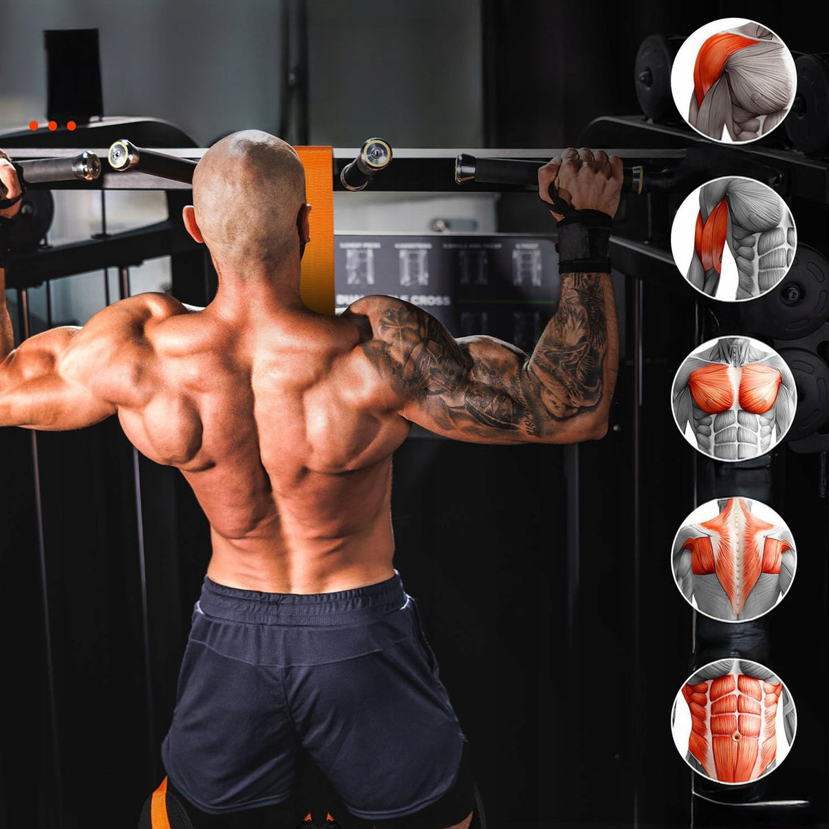 EXERCISE BANDS FITNESS TRAINING BELTS SET+MULTIFUNCTIONAL ACCESSORIES Width 38 mm