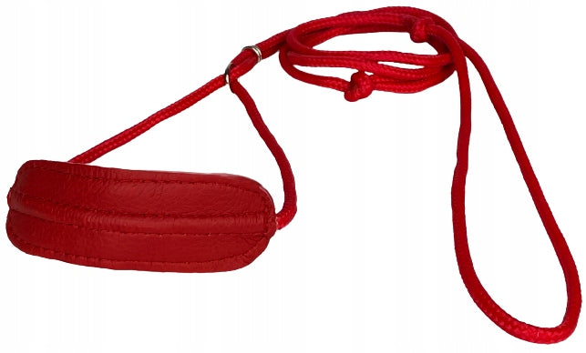 EXHIBITION LEASH RING CABLE ø4 /120 WITH WASHER