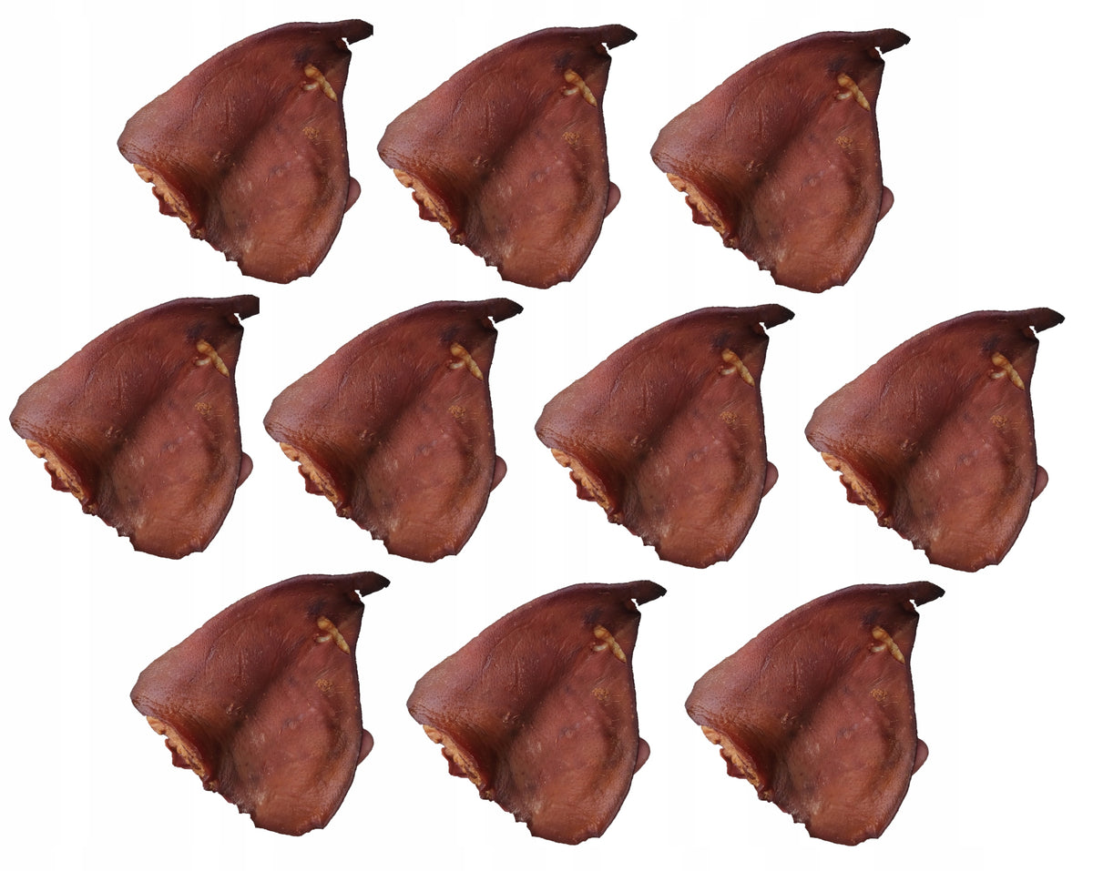 Ears Natural Smoked for Dogs Teether Teethers Treats 10 Pcs PREMIUM Flavor pork