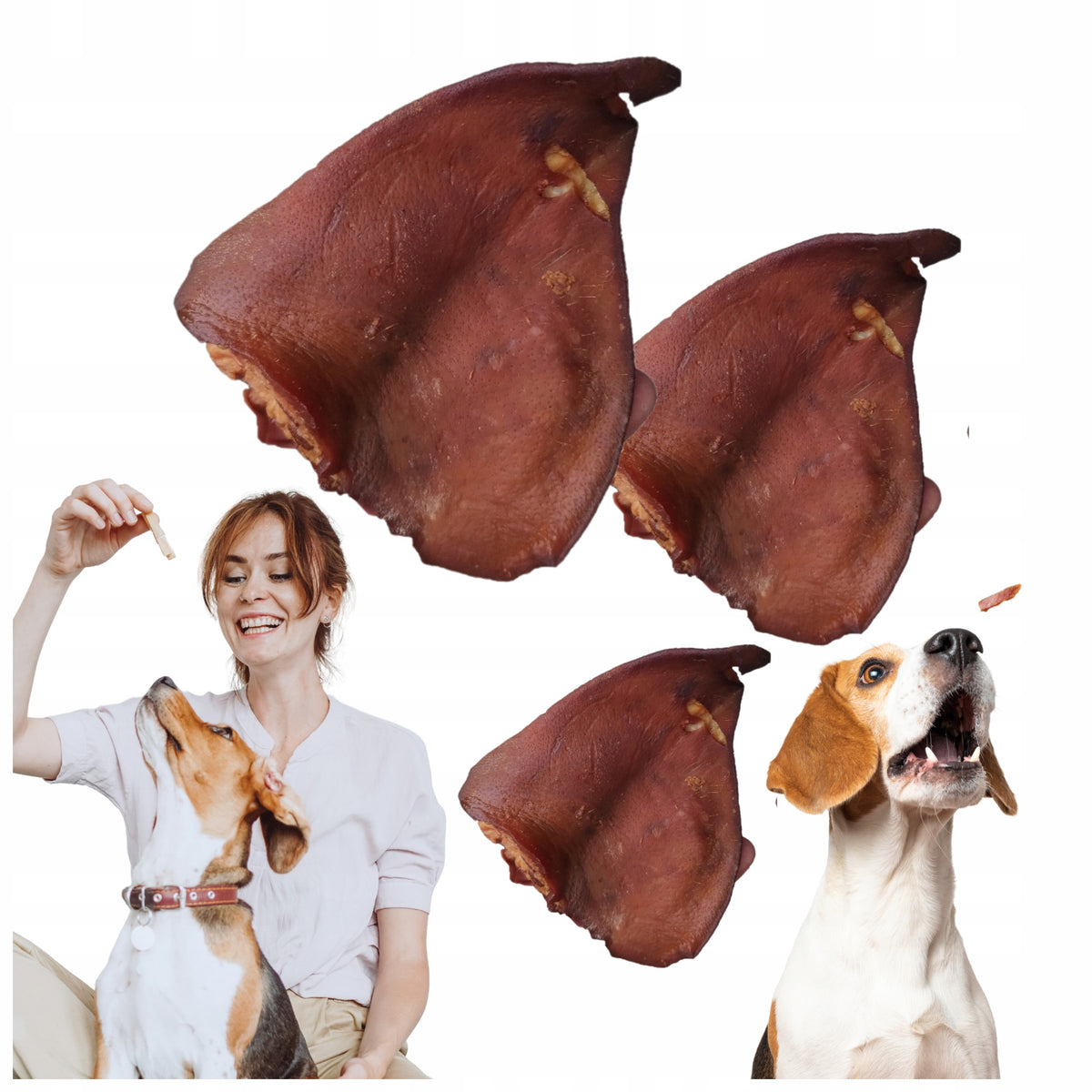 Ears Natural Smoked for Dogs Teether Teethers Treats 10 Pcs PREMIUM