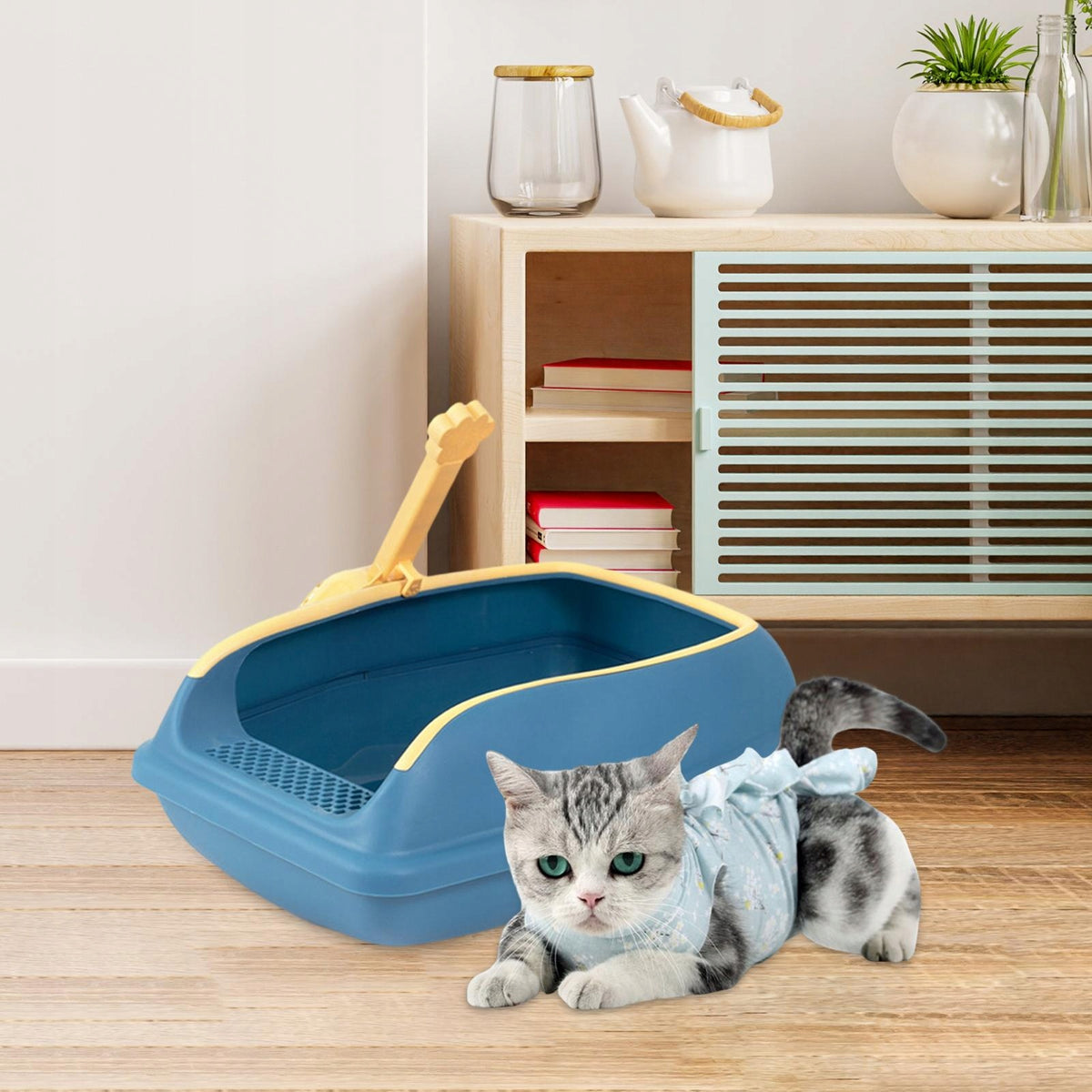 Easy Entry Cat Litter Box with High Rim, Removable PP Toilet, L Blue