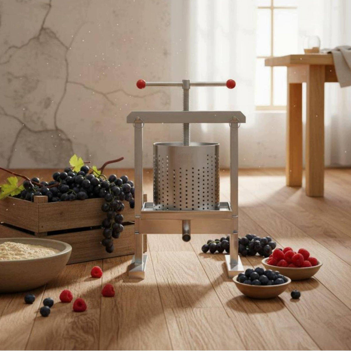 Easy to Drain Vertical Press Juicer Stable Base Commercial Brand no brand