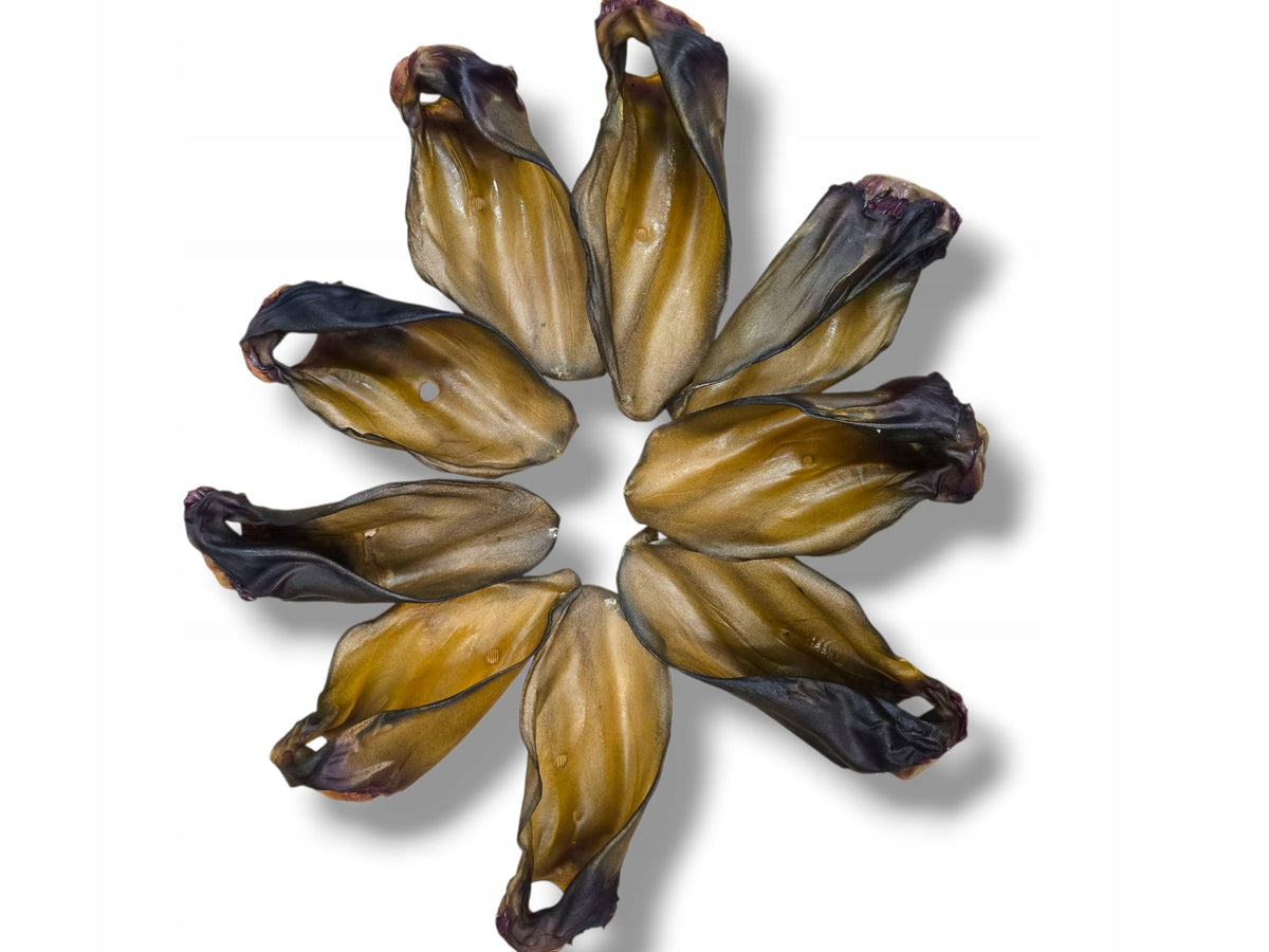 Eco Natural - Dried Beef Ears for Dogs - Natural Teether - 10pcs Brand Eco Natural