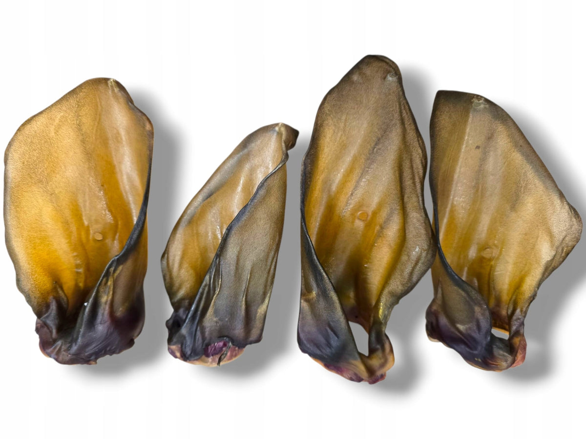 Eco Natural - Dried Beef Ears for Dogs - Natural Teether - 10pcs Manufacturer code 5906924760813