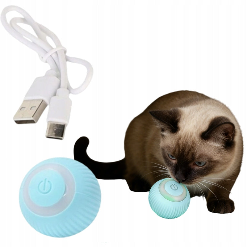Electric Ball Cat Dog Toy Vibration, LED Light, USB Charging Packaging status original