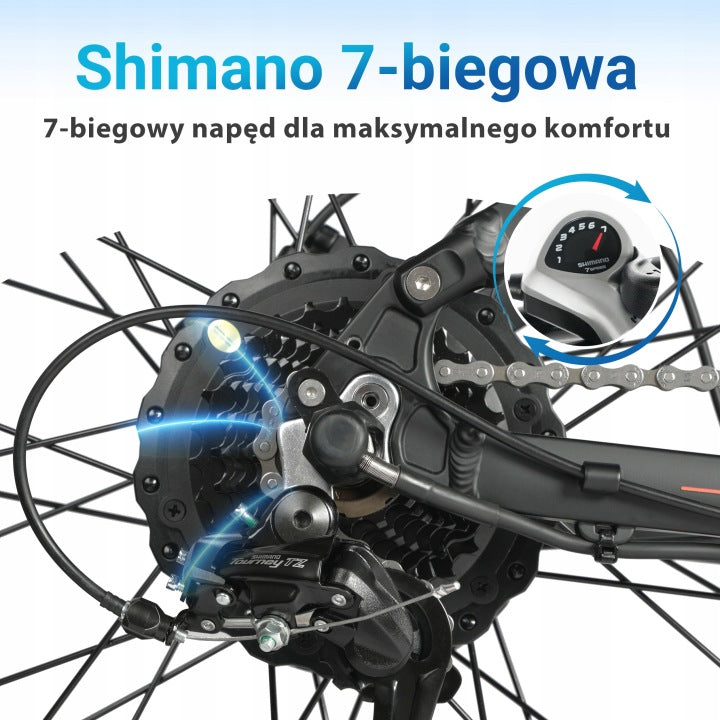 Electric Bike E-BIKE MAXTRON MX1 Male/Women 48V 25km/h 13Ah Wheels Maximum rated power electric bike (under 250W)
