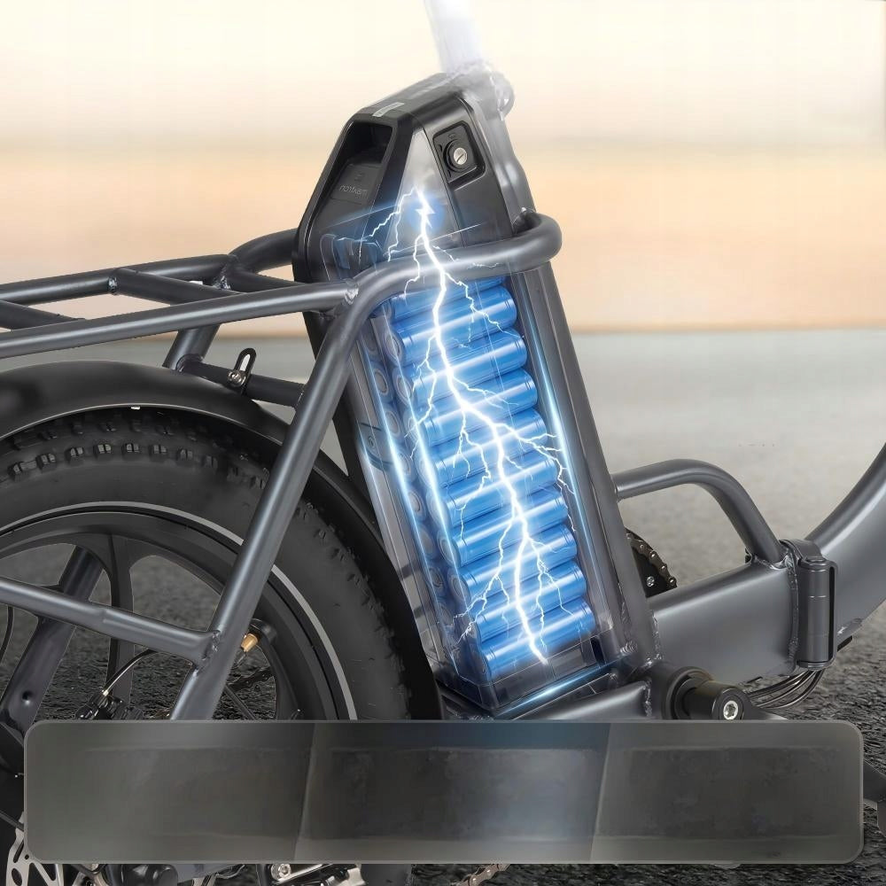 Electric Bike Folding 20"*3.0 250W 25KM/H 48V 20AH 120KM City Commuting Frame size 20"