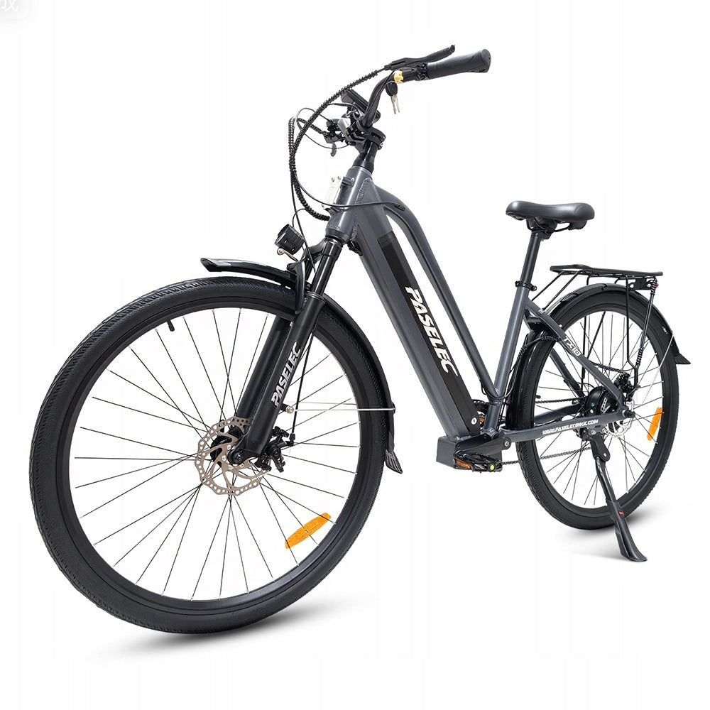 Electric Bike for adult Paselec TX10 250W 48V 15.6Ah 25KM/H 80KM 28“ LCD EU Packaging status original