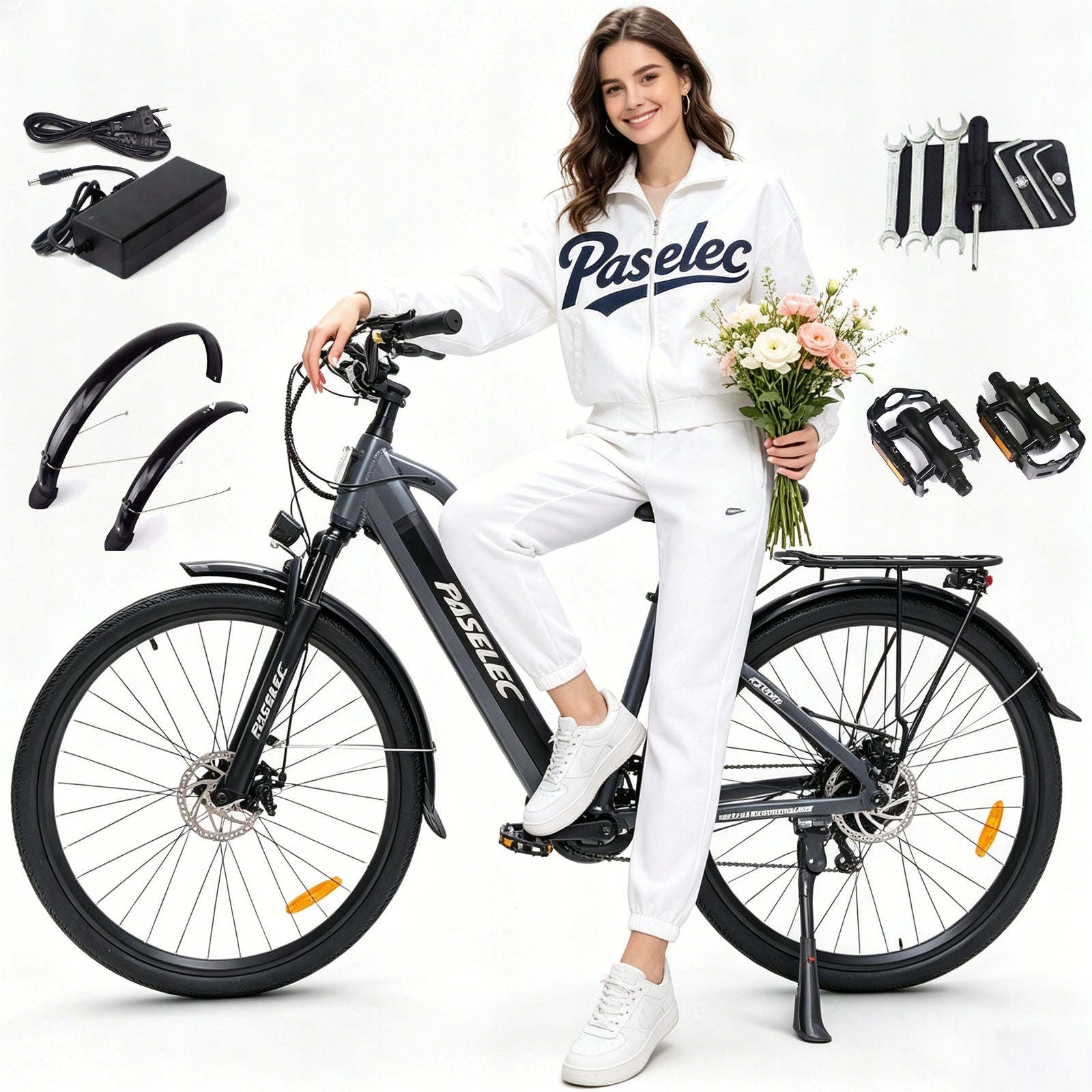 Electric Bike for adult Paselec TX10 250W 48V 15.6Ah 25KM/H 80KM 28“ LCD EU