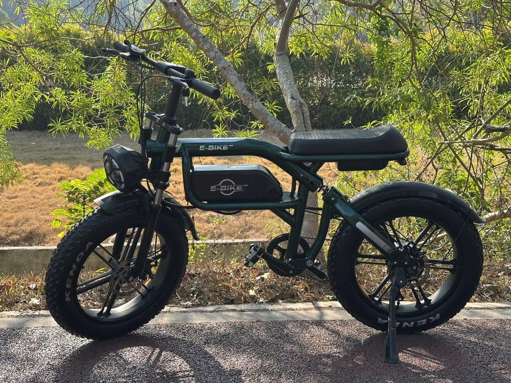Electric Bikes Men/Women C8 PRO 250W 48V 20AH 100HP with APP 20“ Brand no brand