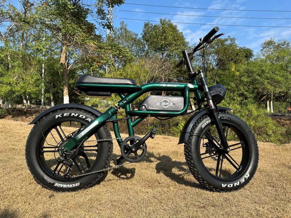 Electric Bikes Men/Women C8 PRO 250W 48V 20AH 100HP with APP 20“ Manufacturer code 9331855380087