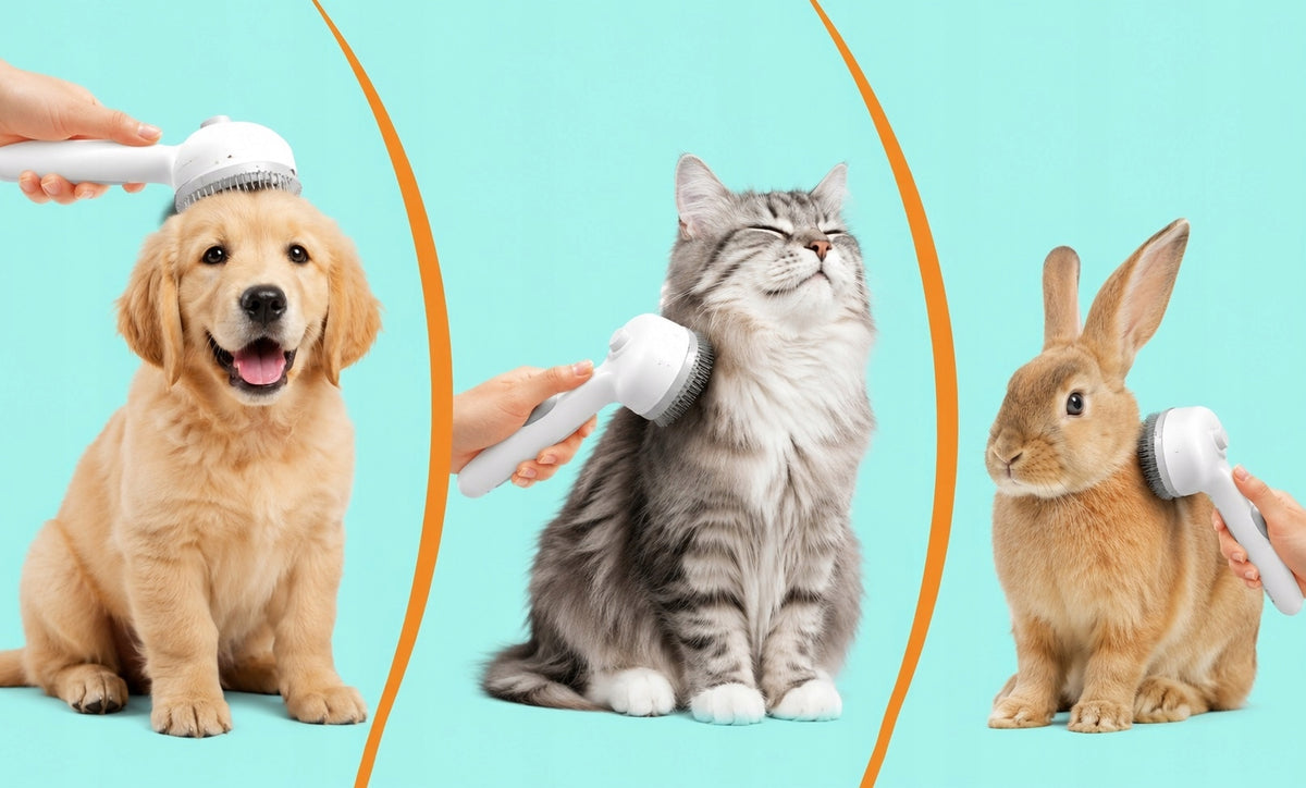Electric Cat Dog Steam Brush with USB Mist Self-Cleaning U082 Manufacturer code U082