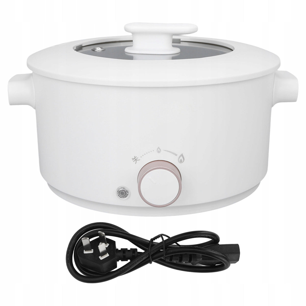 Electric Cooking Pot 3L Mini Multifunctional 6K Cooker Dominant color multicolor