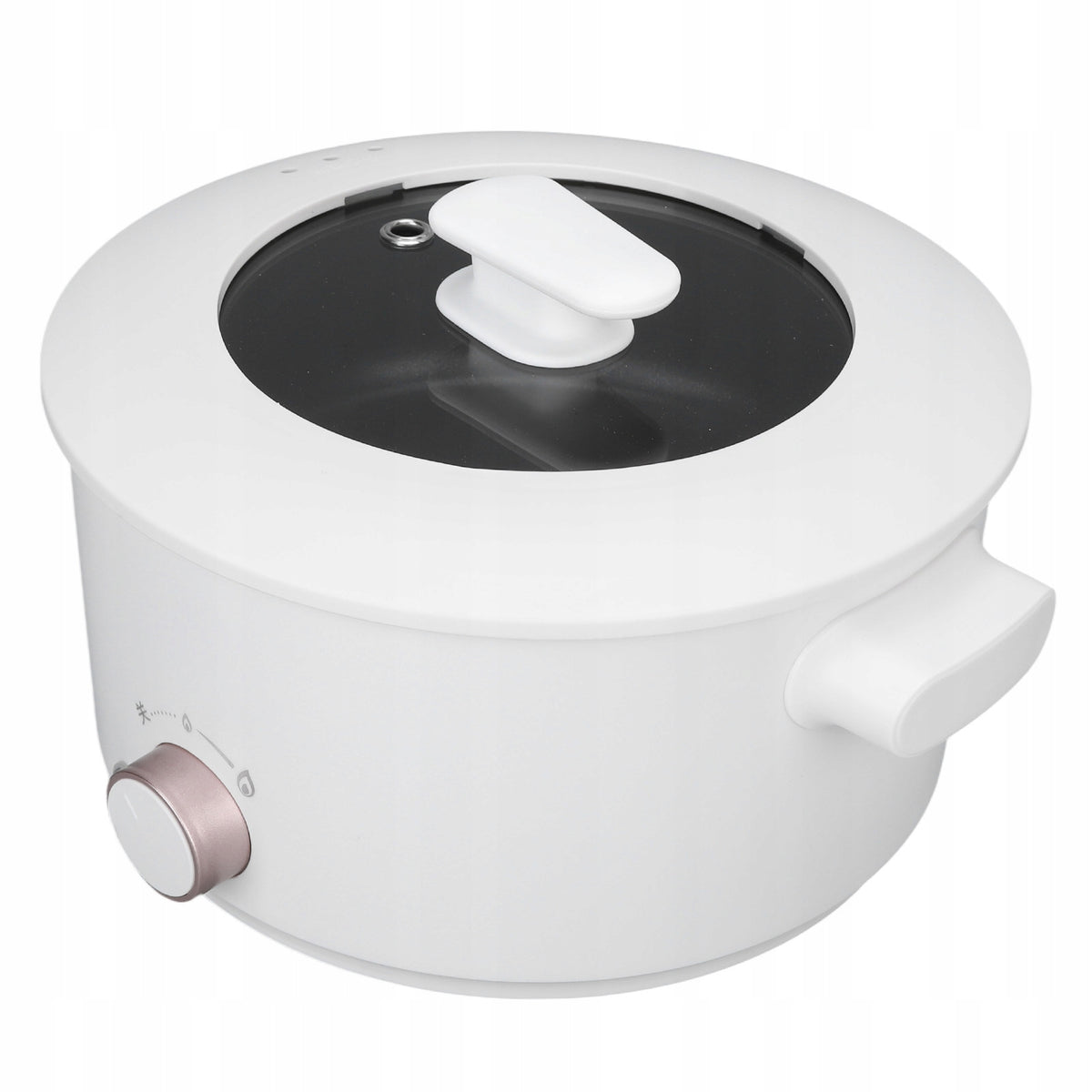 Electric Cooking Pot 3L Mini Multifunctional 6K Cooker