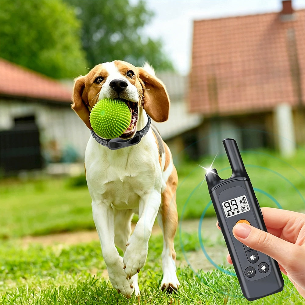 Electric Dog Collar Training Safe 800m LED Waterproof Packaging status original