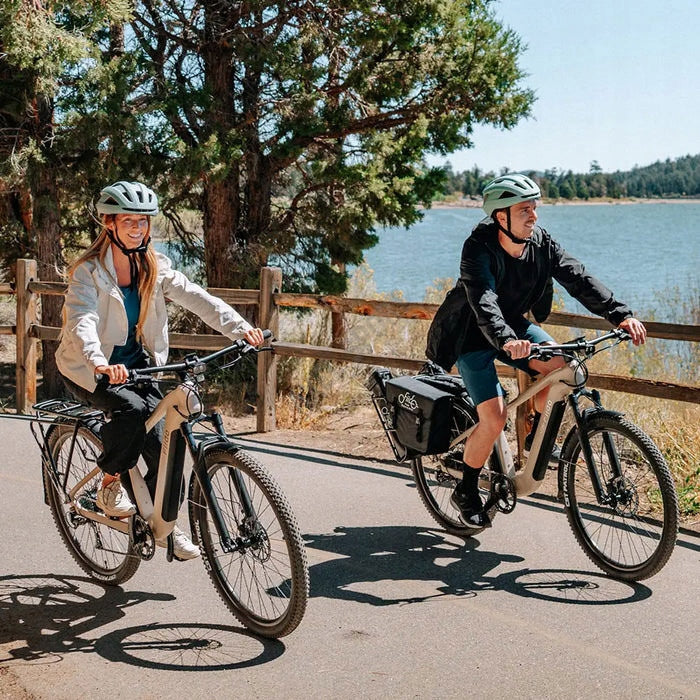 Electric Trekking Bike FIIDO NOMADS 250W L Foldability self-assembly, adjustable
